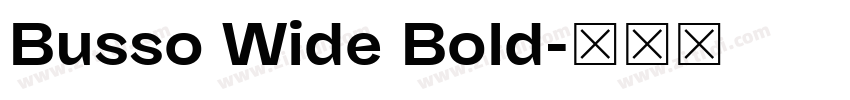 Busso Wide Bold字体转换